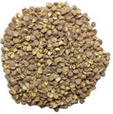 Dried Lentils Brown Flat product image