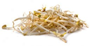 Mung bean sprouts product image